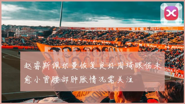 赵睿斯佩尔曼恢复良好周琦眼伤未愈小曾腰部肿胀情况需关注